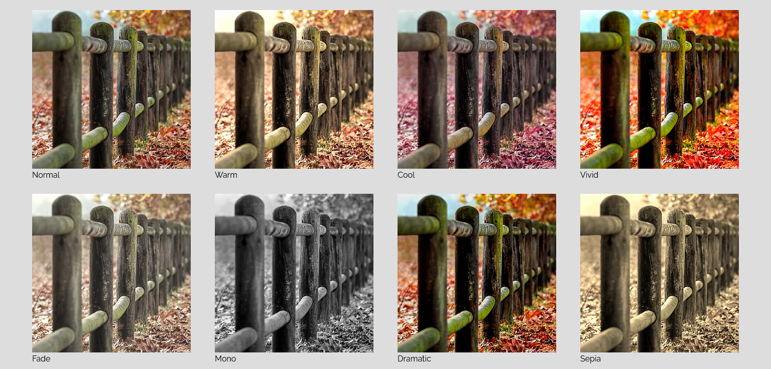 Grid of all eight filter presets applied to a stock image