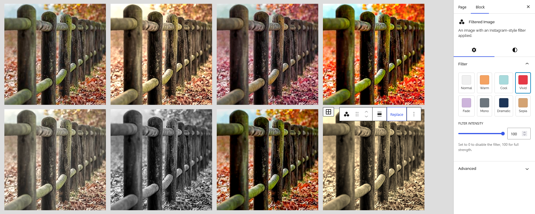 Editor view showing the filter swatches and intensity slider in the sidebar